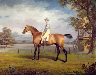 Przebranie księcia Hamiltona z Jockey Up (olej na płótnie)