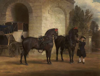 Dwa czarne konie powozowe z woźnicą, 1791