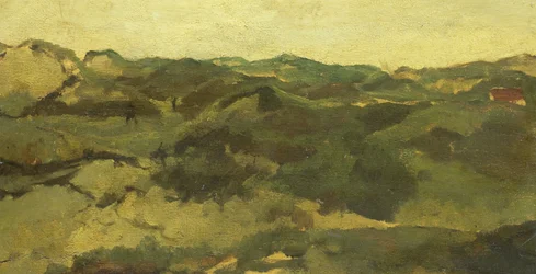 Krajobraz wrzosowisk, prawdopodobnie w Drenthe
