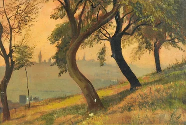 Friedberg w Hesji z Johannisberg Nauheim, 1903