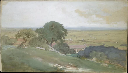 Drzewa oliwne w Tivoli