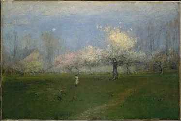 Wiosenne kwiaty, Montclair, New Jersey