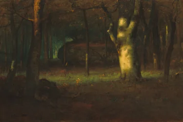 Zachód słońca w lesie, 1891.