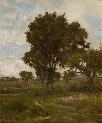 Wiąz