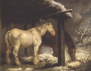 Shire Horses przy schronieniu krytym strzechą w burzliwym zimowym krajobrazie
