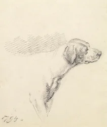 Studium psa, 1794