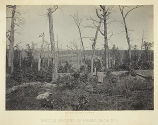 Pole bitwy pod Resacca, GA, nr 3, 1866.