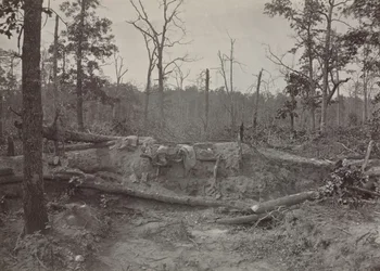 Pole bitwy pod kościołem New Hope, Georgia, nr 2, 1865-1866.