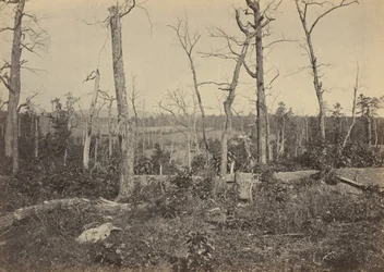Pole bitwy pod Resaca, Georgia, nr 3,1864 (zdjęcie)