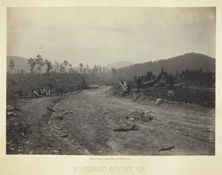 Myszołów Roost, GA, 1866.