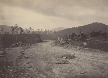 Myszołów Roost, Gruzja, lata 60. XIX wieku.