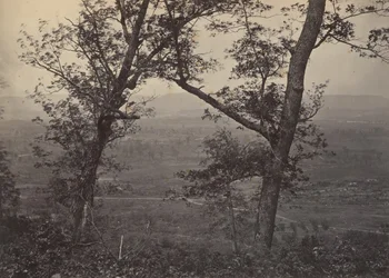 Orchard Gałka z Mission Ridge, 1860.