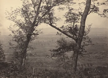 Orchard Gałka z Mission Ridge, 1864-1866.