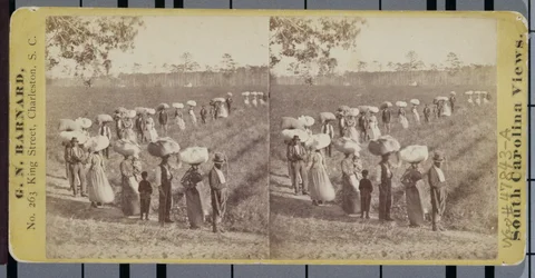Powrót z pól bawełnianych w Karolinie Południowej (zdjęcie stereograficzne)