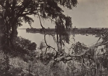 Rzeka Savannah, w pobliżu Savannah, Georgia, lata 60. XIX wieku.
