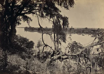 [Rzeka Savannah, w pobliżu Savannah, Georgia]