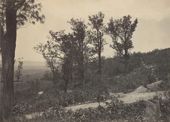 Herb Mission Ridge, 1860.