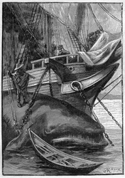 Powieść Juliusza Verne’a „Les histoires de Jean-Marie Cabidoulin” (1901), Kolekcja Hetzela/Extraordinaires, ilustracja George’a Roux. „Wieloryb zacumowany przy statku wielorybniczym”