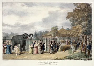 Ogrody Zoologiczne, Regent