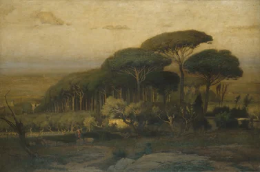 Sosnowy Gaj willi Barberini, 1876 r.