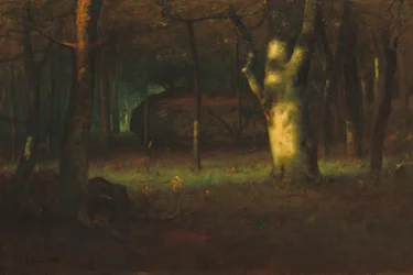 Zachód słońca w lesie, 1891