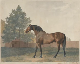 "Kowadło"