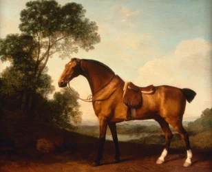 G. Stubbs, Osiodłany Łowca Bay