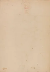 Esqueleto Humano, Verniz Anterior