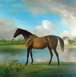Klacz lorda Bolingbroke na terenie Lydiard Park, Wiltshire, ok. 1764-66 (olej na płótnie)