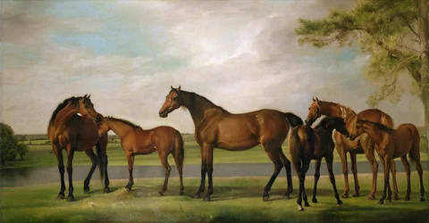 Klacze i źrebięta zaniepokojone zbliżającą się burzą, 1764-66