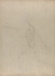 Studium postaci ludzkiej, widok boczny, z porównawczej ekspozycji anatomicznej budowy ciała ludzkiego z ciałem tygrysa i drobiu zwyczajnego, 1795-1806 (grafit na grubym papierze tkanym)