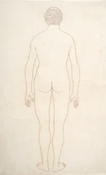 Studium postaci ludzkiej, widok z tyłu, z porównawczej ekspozycji anatomicznej budowy ciała ludzkiego z ciałem tygrysa i drobiu zwyczajnego, c.1795-1806 (atrament na papierze)