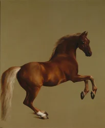 Gwizdek