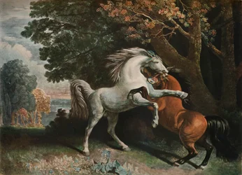 Walczące konie, XVIII w., 1902 r.