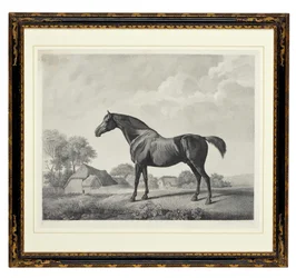 Sweetbrier (grawerowanie punktowe)