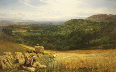 Czas zbiorów
