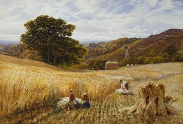 Czas zbiorów w pobliżu Holmbury Hill, Surrey