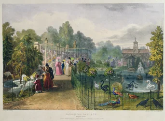 Woliera przy Ogrodzie Zoologicznym, Regents Park, grawerowana i pub. przez artystę, druk Charles Hullmandel (1789-1850), 1836