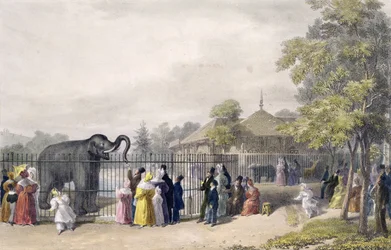 Dramblio namas zoologijos soduose, Regento parke, graviruotas ir baras. dailininko, atspausdino Charles Hullmandel (1789-1850), 1835 poli
