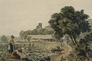 Market Garden w Chelsea