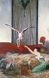The Pet Flamingo (olej na płótnie)