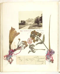 Bez tytułu [widok Broadlands z suszonymi kwiatami], 1868.