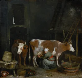 Pokojówka dojąca krowę w stodole, ok. 1652-54 (olej na panelu)