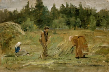 Pole biednego człowieka