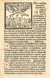 Czyściec