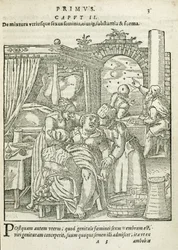 Kobieta w pracy, ilustracja z rozdziału 2, księga 1 O poczęciu i rozwoju człowieka Rueffa, 1587