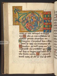 Dodać. 60629, f.43v Duże oprawione inicjały w kolorze złotym i kolorowym z ornamentem roślinnym, czasem zoomorficznym i antropomorficznym (welum)