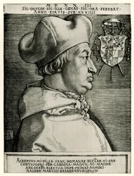 Albert z Brandenburgii