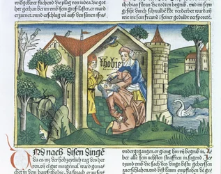 Apocrypha: Tobit oślepiony odchodami wróbli, z Biblii Norymberskiej (Biblia Sacra Germanaica) (kolorowy drzeworyt)