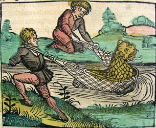 Łapanie lwa Kot rybny Potwór opublikowany w Kronice Norymberskiej, 1493